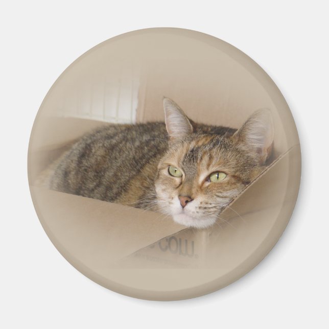 Lily #1 magnet (Framsidan)
