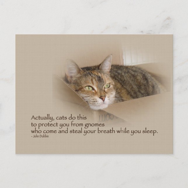 Lily #1 vykort (Framsida)