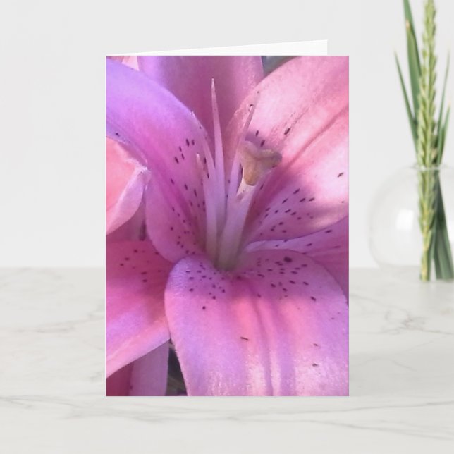 Lily All Purpose Greeting Card Kort (Framsida)