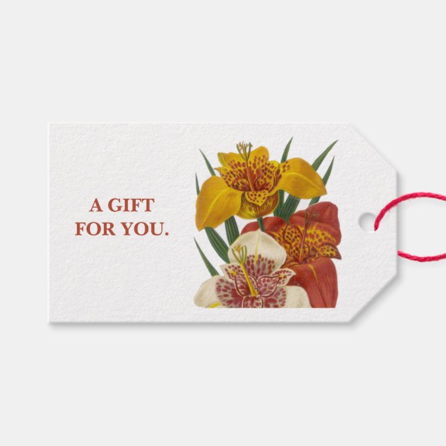 Lily all-tillfälle-presentmärkre presentetikett (Framsidan (Horisontell))