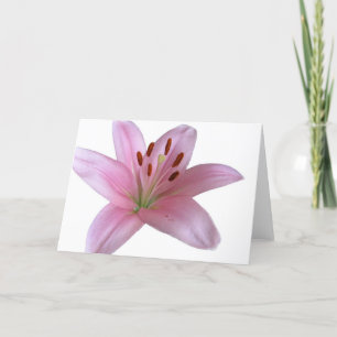 Lily - Blank hälsning Card Kort