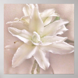 Lily Blommars Poster