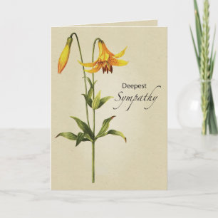 Lily Botanical Sympathy Kort