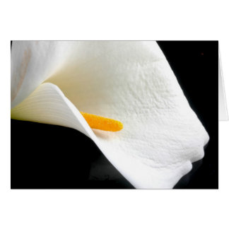 Lily Card Hälsningskort