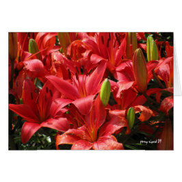 Lily Card Hälsningskort