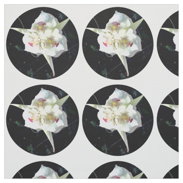 Lily Dot Tyg (Provkarta)