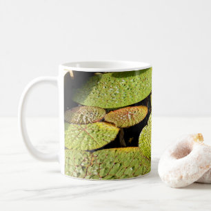Lily Dynor Mugg