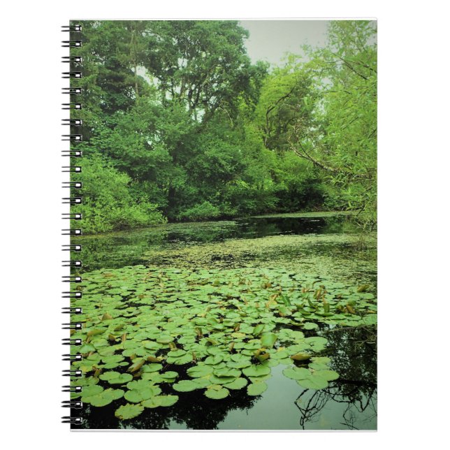 Lily Dynor på Pond Anteckningsbok (Framsidan)