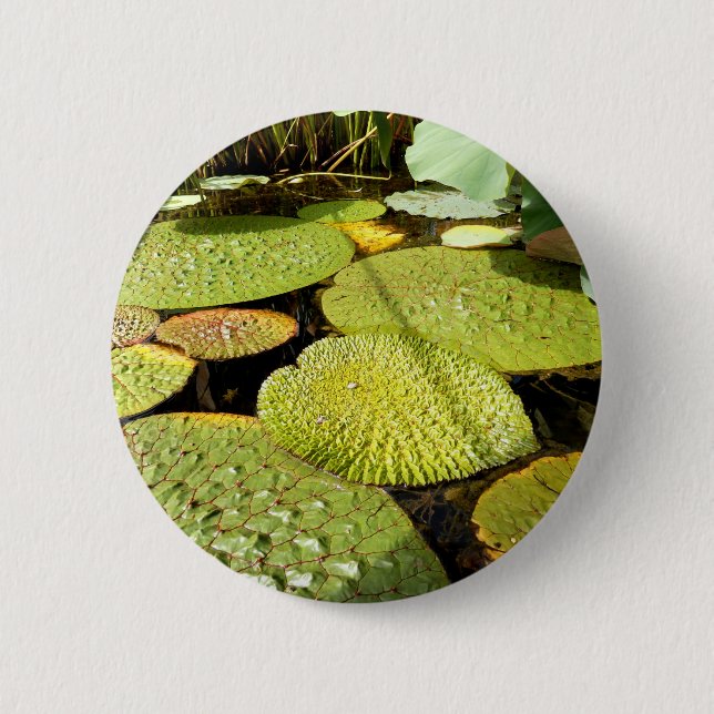 Lily Dynors Badge Knapp (Framsida)