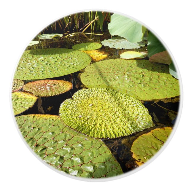 Lily Dynors Ceramic Knob Knopp (Framsidan)