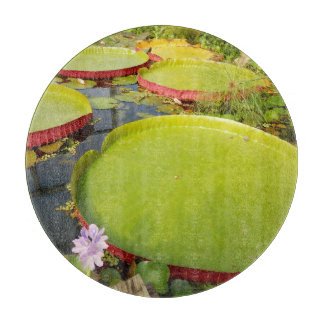 Lily Dynors Glass Chopping Board