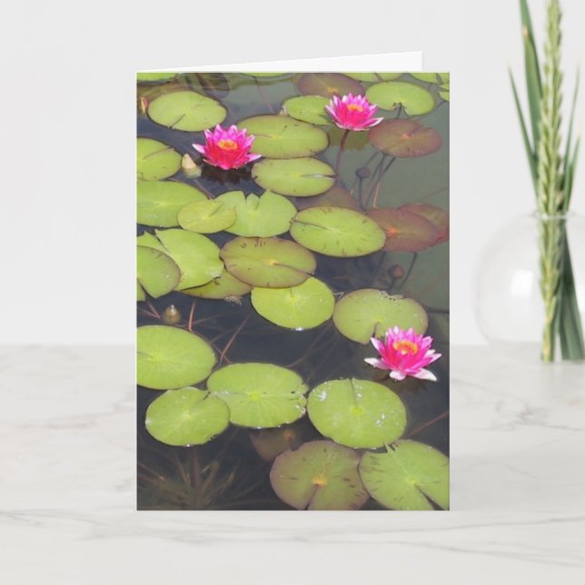 Lily Dynors och Lotus Zen Birthday Card Kort (Framsida)