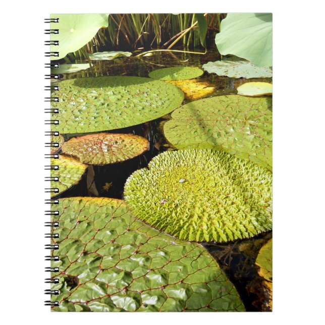 Lily Dynors Photo Notebook Anteckningsbok (Framsidan)