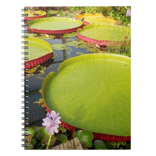 Lily Dynors Photo Notebook Anteckningsbok (Framsidan)