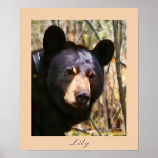 Lily, ett amerikanskt Black Bear Poster