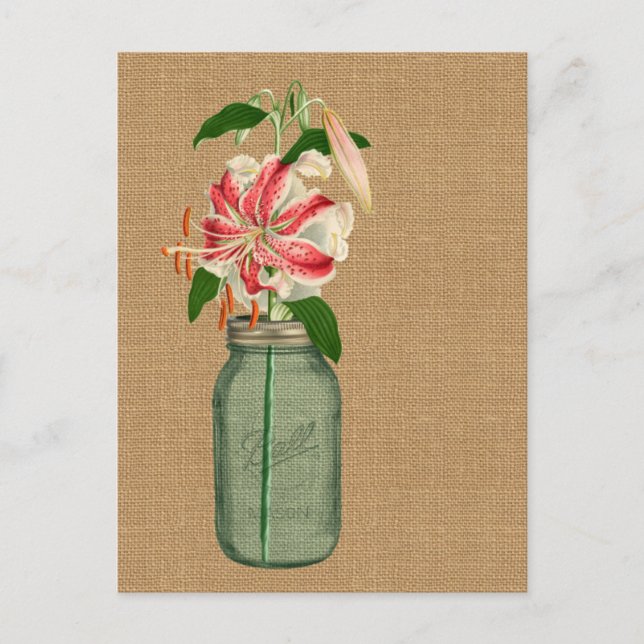 Lily fleur dans un pot Mason Vykort (Framsida)