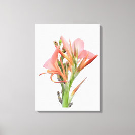 Lily Flower Canvastryck