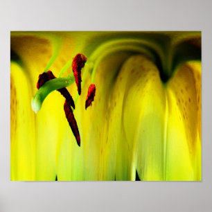 Lily Flower Fantasy Blommigt Abstrakt Poster
