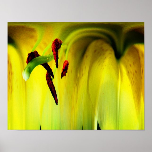 Lily Flower Fantasy Blommigt Abstrakt Poster (Framsidan)