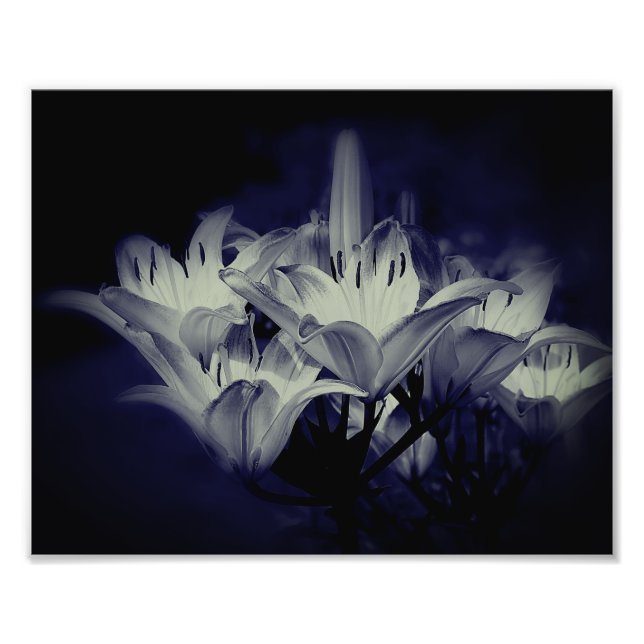 Lily Flowers in Black and White 8x10 Fototryck (Framsidan)