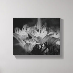Lily Flowers in Black and White Canvastryck