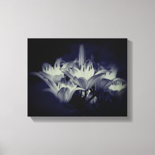 Lily Flowers in Black and White Canvastryck