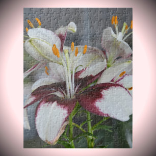 Lily Flowers White Maroon Botanical Photograpi Pussel
