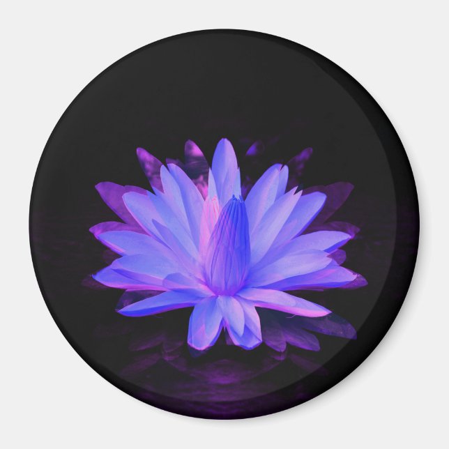 Lily från Kärlek... Magnet (Framsidan)