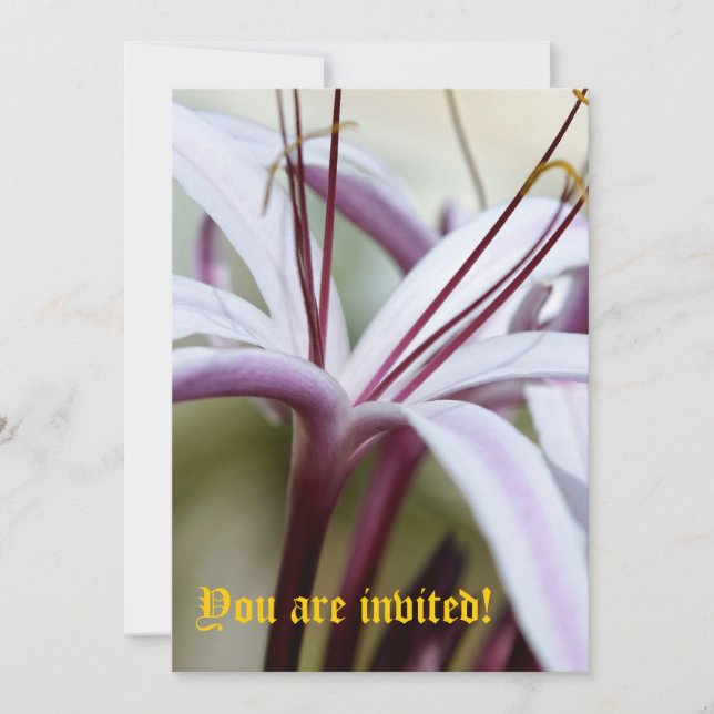 Lily-inbjudningar - Anpassade Inbjudningar (Framsida)