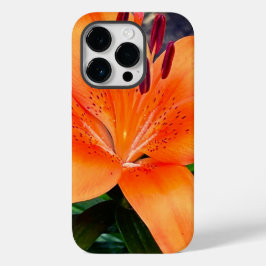 "Lily" iPhone/iPad-fall