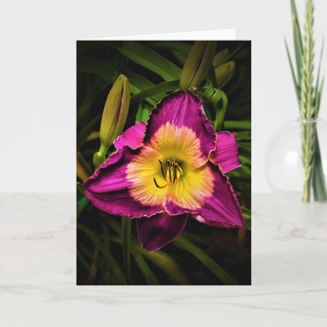 Lily, kort (Framsida)