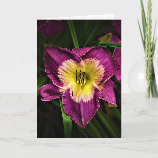 Lily & Ladybug, kort (Framsida)