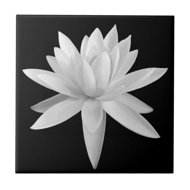 Lily Lotus Black and White Fine Art Photograph Kakelplatta (Framsidan)