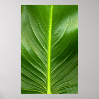 Lily Löv Poster