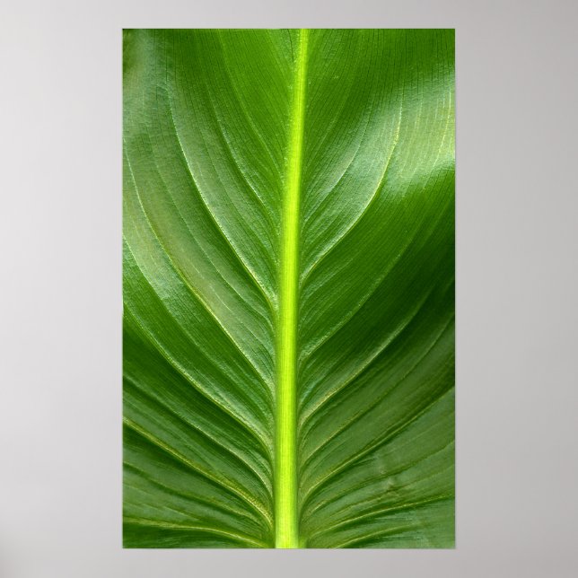 Lily Löv Poster (Framsidan)