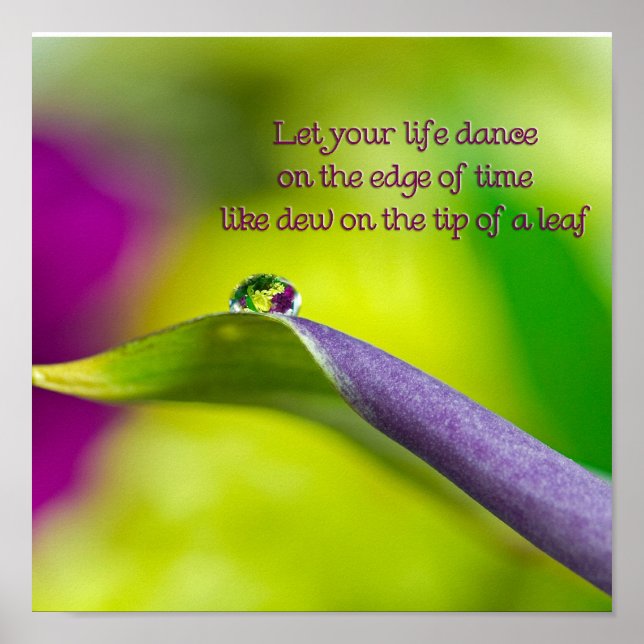 Lily Löv Poster (Framsidan)