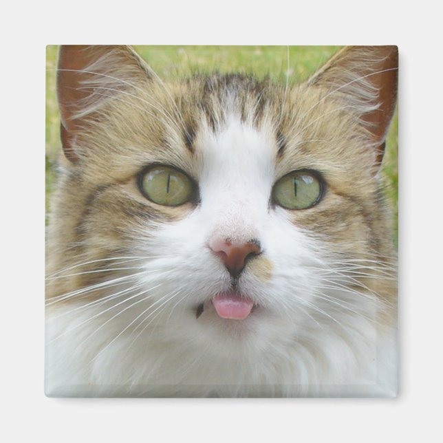 Lily Magnet 004 (Framsidan)