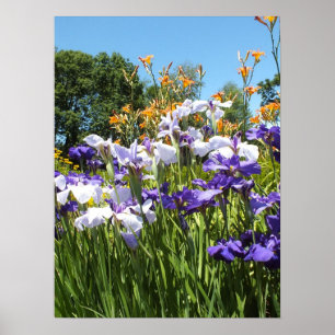 Lily och Iris Garden Poster