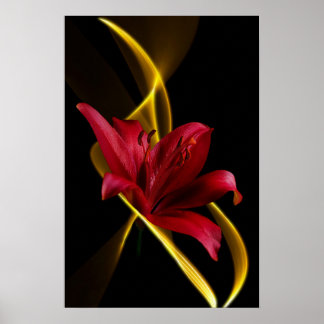 Lily och Ribbon Print Poster