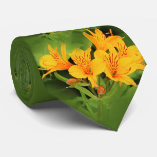 Lily of the Incas / Gult Alstroemeria Slips
