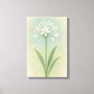 Lily of the Nile Canvastryck