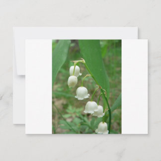 Lily-of-the-valley