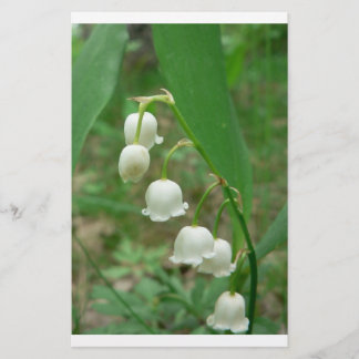 Lily-of-the-valley