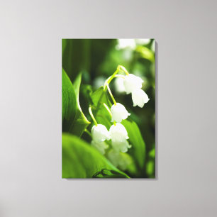 Lily of the valley-blomman canvastryck