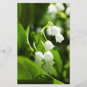 Lily of the valley-blomman flygblad