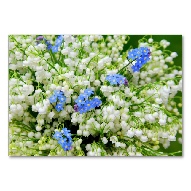 Lily of the valley bordsnummer (Framsidan)