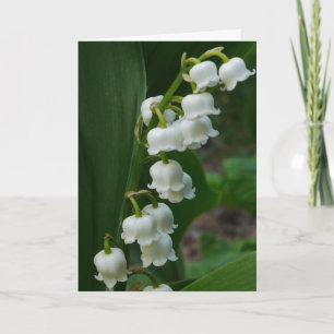Lily-of-the-Valley Card Kort