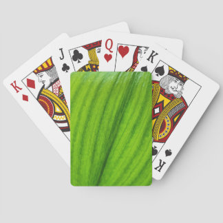 Lily of the Valley Casinokort