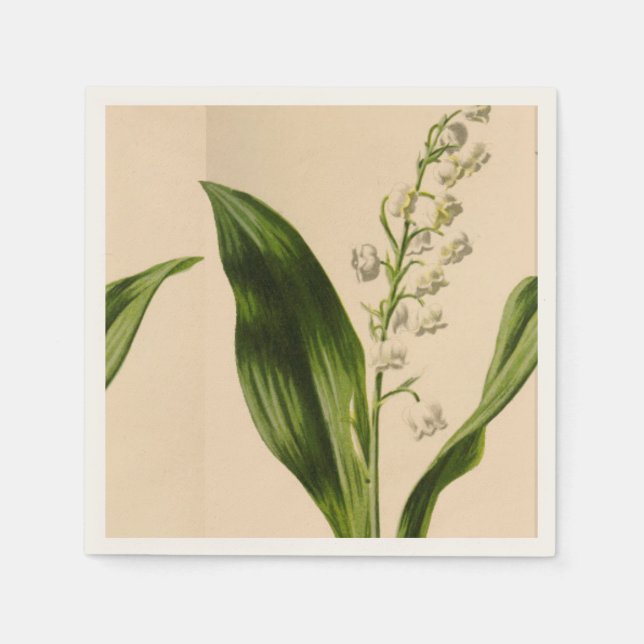 Lily of the Valley Ecru Napkins Pappersservett (Framsidan)