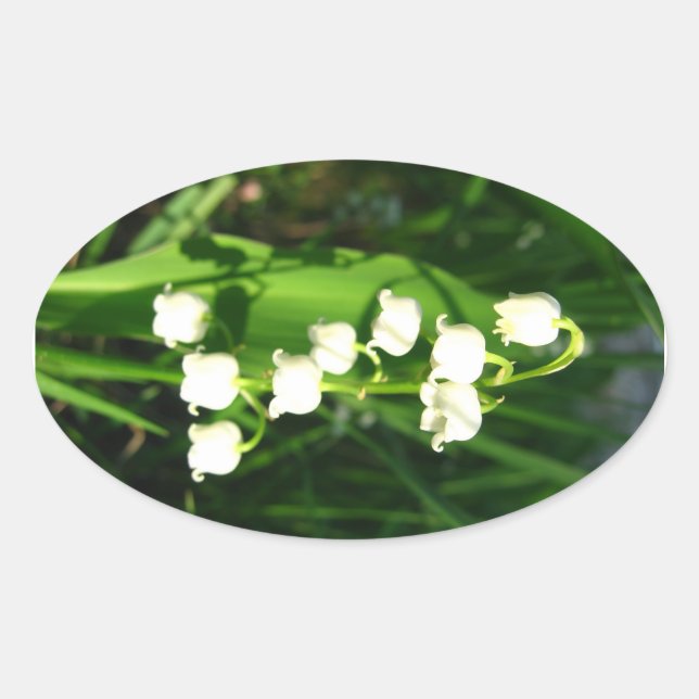 Lily of the Valley Flowers Ovalt Klistermärke (Framsida)